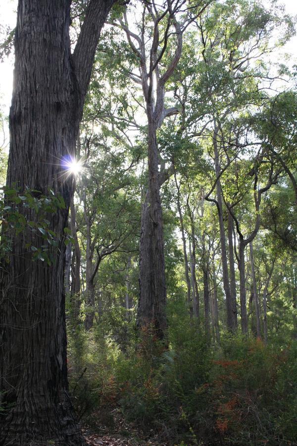 Wellington Forest Cottages 外观 照片